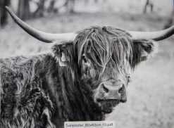 Tuinposter Natuur 10