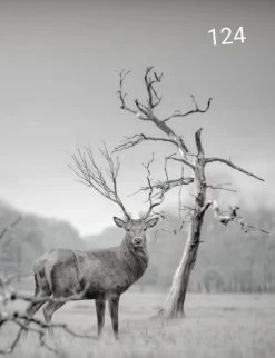 Wanddoek Gewei Landschap 60x80 Cm