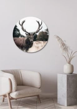 Muurcirkel Hert Groot