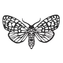 Nachtvlinder Geometrisch