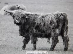 Tuinposter Natuur 22