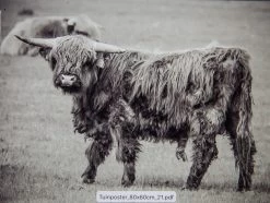 Tuinposter Natuur 21