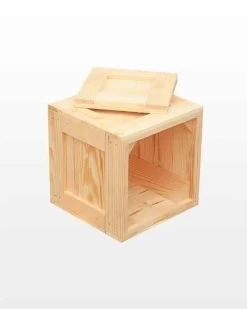 Fruitkist Kubus Met Deksel 25x25x25 Cm -Woonmeubelwinkel 511ff5f3b373456d5795bc5cc0c517404ec180994fa41b0624999571805af3f5