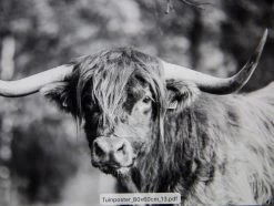 Tuinposter Natuur 13