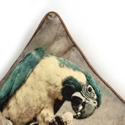 Kussen Parrot -Woonmeubelwinkel 859363795b27fcde2f681aff5084be9bb9dc455e512544eb75b0859275a20aa1