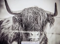 Tuinposter Natuur 26