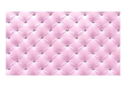 Fotobehang XXL - Pink Elegance -Woonmeubelwinkel MNL 500280new71 MP 2