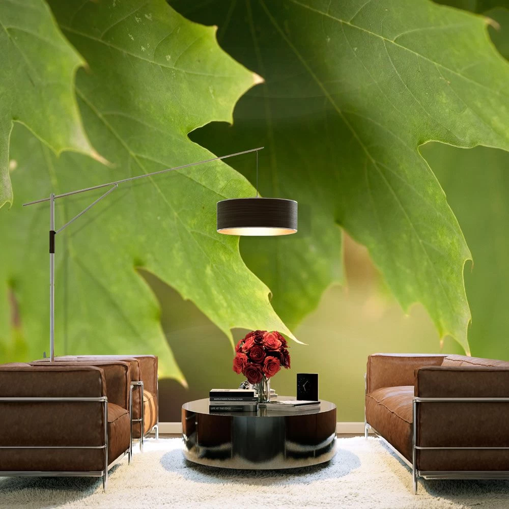 Fotobehang - Bladeren 3 Fotobehang - Bladeren