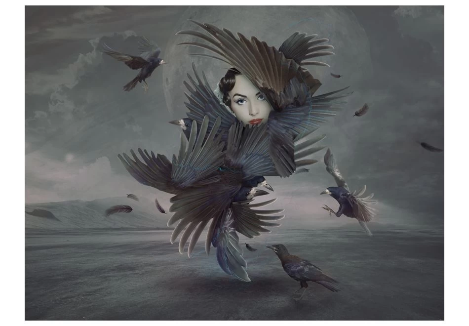 Fotobehang - Bedekt Met Veren 4 Fotobehang - Bedekt Met Veren - Afbeelding 2