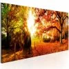 Schilderij - Magic Of Autumn -Woonmeubelwinkel MNL N6537 MP 1