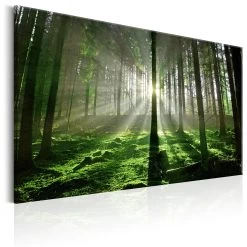 Schilderij - Emerald Forest II -Woonmeubelwinkel MNL N6695 MP 1