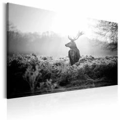 Schilderij - Black And White Deer