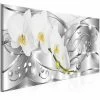 Schilderij - Flowering (1 Part) Narrow Silver -Woonmeubelwinkel MNL N7198 DK MP 1