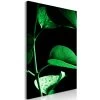Schilderij - Plant In Black (1 Part) Vertical -Woonmeubelwinkel MNL N8927 MP 1