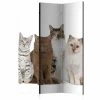 Vouwscherm - Sweet Cats [Room Dividers] -Woonmeubelwinkel MNL PARAVENT1080 MP 1