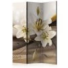 Vouwscherm - The Desert's Garden [Room Dividers] -Woonmeubelwinkel MNL PARAVENT170 MP 1