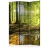 Vouwscherm - Forest Lake [Room Dividers] -Woonmeubelwinkel MNL PARAVENT204 MP 1
