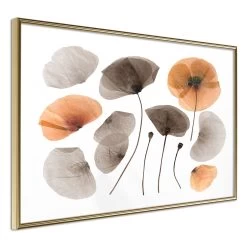 Dried Poppies 26 Dried Poppies -Woonmeubelwinkel MNL POSTERprp0152s br MP 11 1