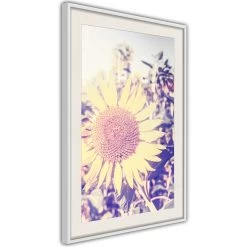 Facing The Sun -Woonmeubelwinkel MNL POSTERprp1155s br MP 5