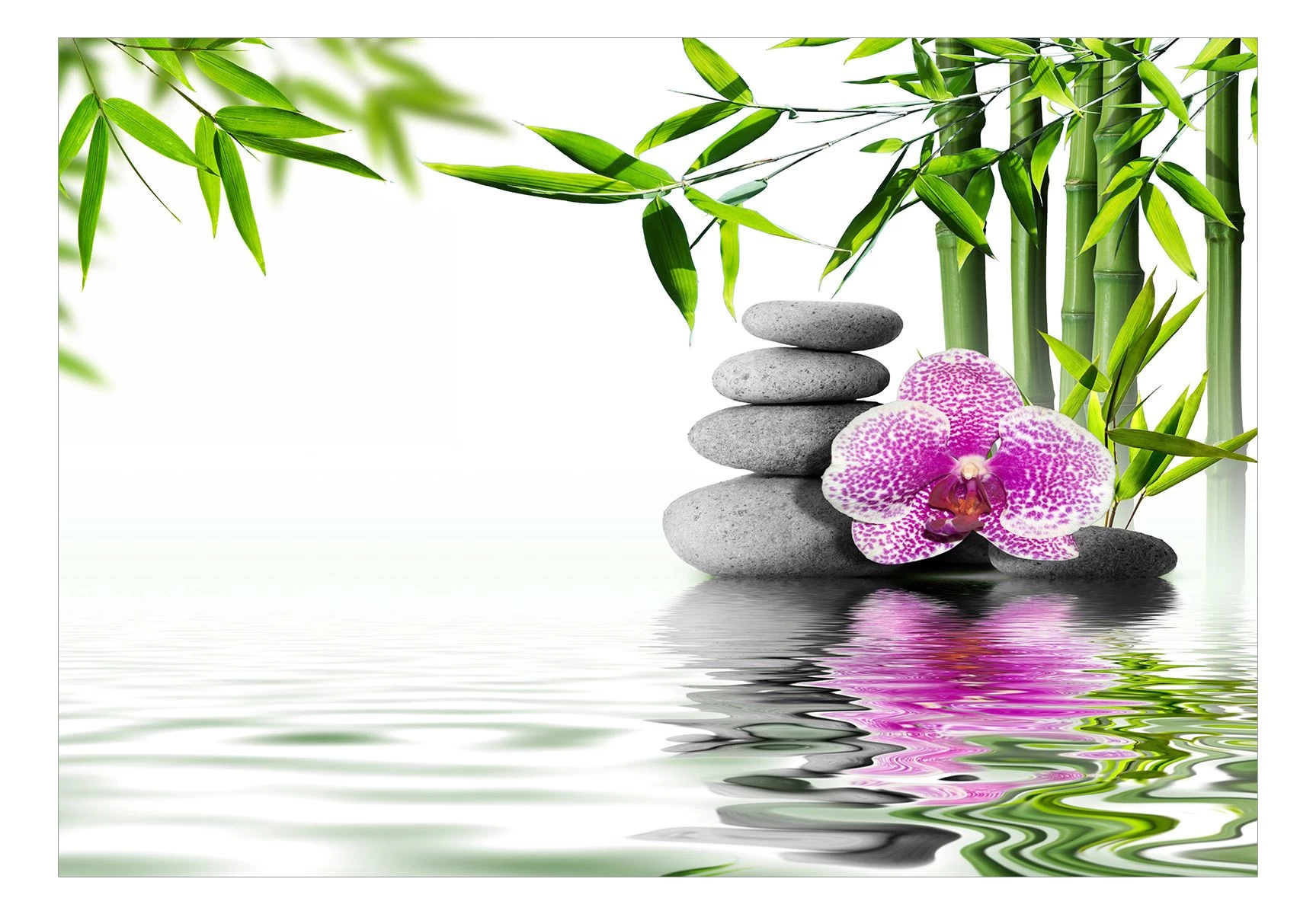 Zelfklevend Fotobehang - Water Garden 4 Zelfklevend Fotobehang - Water Garden - Afbeelding 2