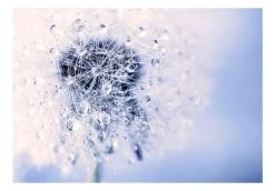 Fotobehang - Etheric Morning 7 Fotobehang - Etheric Morning -Woonmeubelwinkel MNL SFT226 MP 2