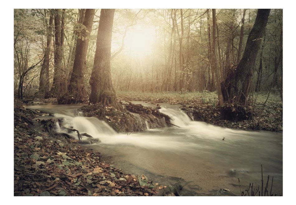 Zelfklevend Fotobehang - Forest Cascade 4 Zelfklevend Fotobehang - Forest Cascade - Afbeelding 2
