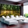 Fotobehang - Spring: Morning In The Forest -Woonmeubelwinkel MNL SNEW010833 MP 1