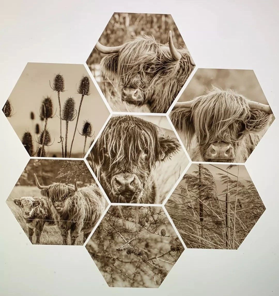 Hexagon Muurcirkel Set Natuur 3 Hexagon Muurcirkel Set Natuur