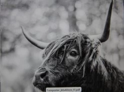 Tuinposter Natuur 11