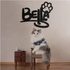 Metalen Eigen Naambordje Voor Jouw Kat