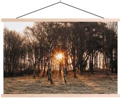 Wanddoek Into The Woods Canvas