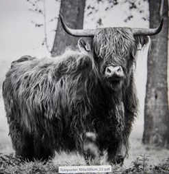 Tuinposter Natuur 100