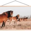 Wanddoek Curious Horses Canvas -Woonmeubelwinkel curious horses canvas