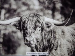 Tuinposter Natuur 25