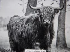 Tuinposter Natuur 18