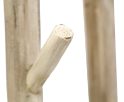 Kapstok - Licht Teakhout -Woonmeubelwinkel de kisten koning 107594 4