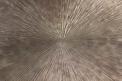 Wandbox Fletcher - Goud/zwart - Ijzer/Aluminium/Mangohout - 25x18x25 Cm 7 Wandbox Fletcher - Goud/zwart - Ijzer/Aluminium/Mangohout - 25x18x25 Cm -Woonmeubelwinkel de kisten koning 108721 3