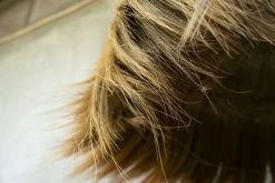 De Makiki Hanglamp - Naturel - XL -Woonmeubelwinkel de kisten koning 109091 4