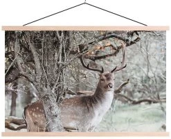 Wanddoek Deer Winter