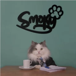 Metalen Eigen Naambordje Voor Jouw Kat 11 Metalen Eigen Naambordje Voor Jouw Kat -Woonmeubelwinkel dkk kat