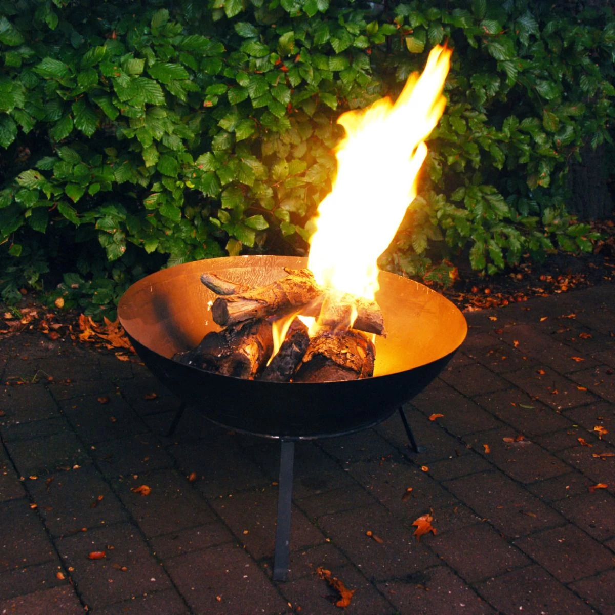 Vuurschaal Met Onderstel 5 Vuurschaal Met Onderstel - Afbeelding 3