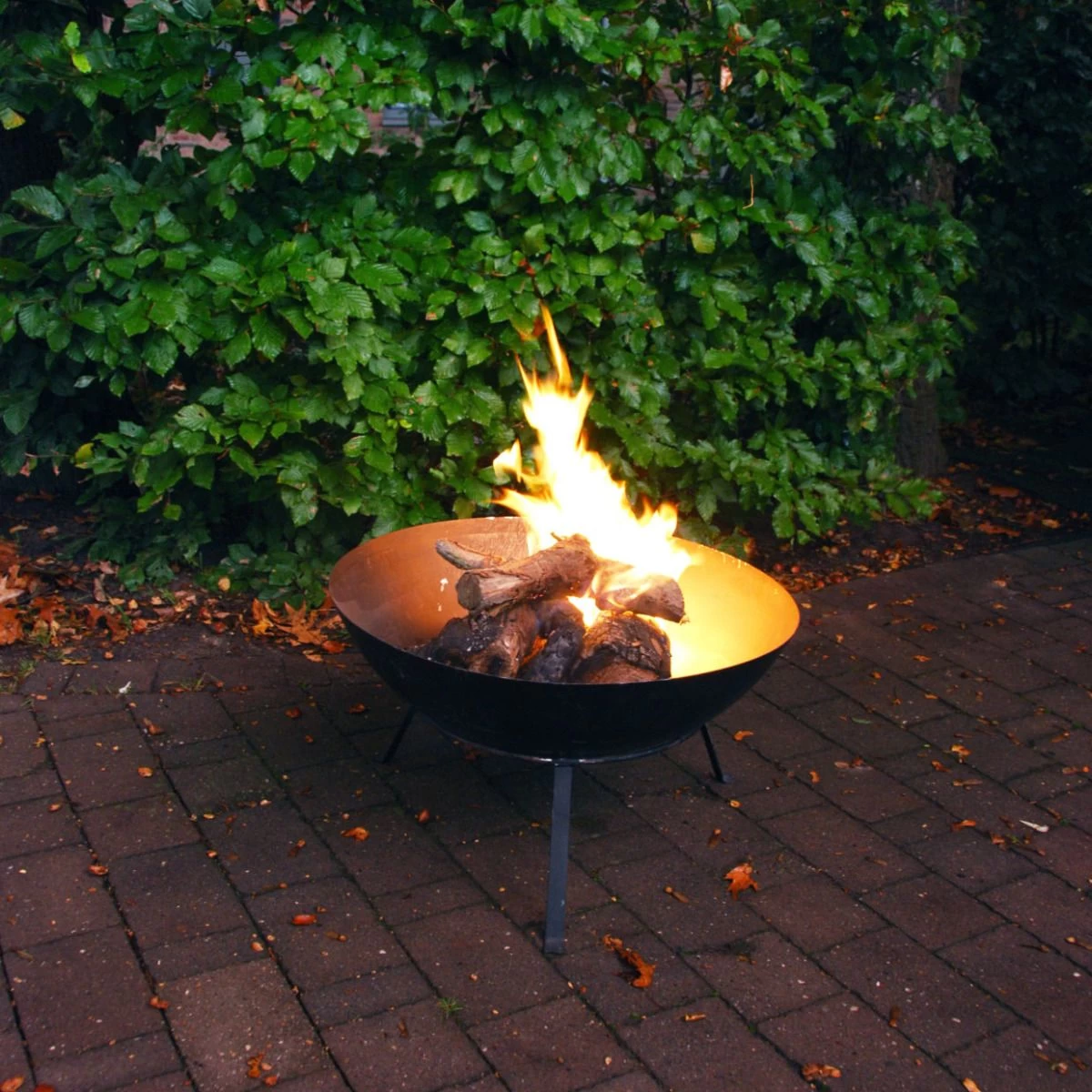 Vuurschaal Met Onderstel 4 Vuurschaal Met Onderstel - Afbeelding 2
