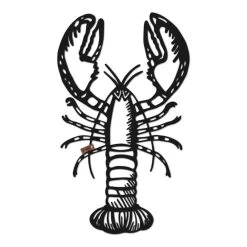 Geometrische Rivierkreeft