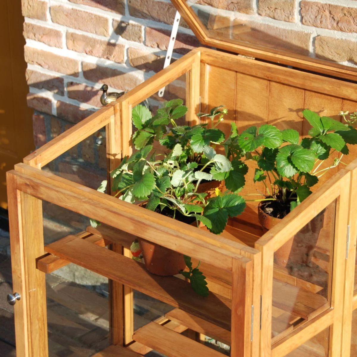 Hardhouten Kweekkas Klein 4 Hardhouten Kweekkas Klein - Afbeelding 2