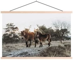 Wanddoek Horses