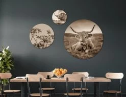 Muurcirkel Set: Schotse Hooglander En Natuur (set 1)