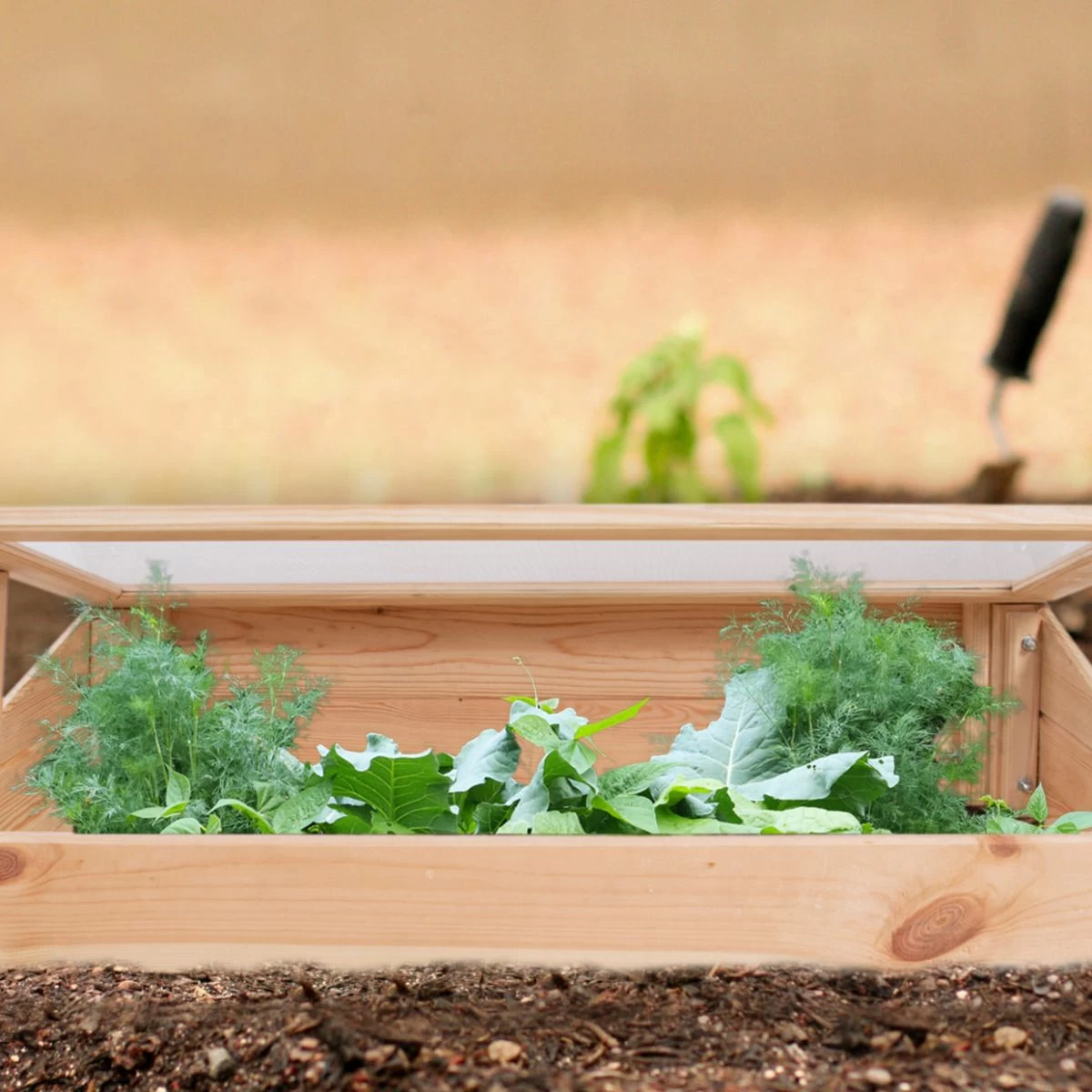 Koude Bak Voor Kweektafel 4 Koude Bak Voor Kweektafel - Afbeelding 2