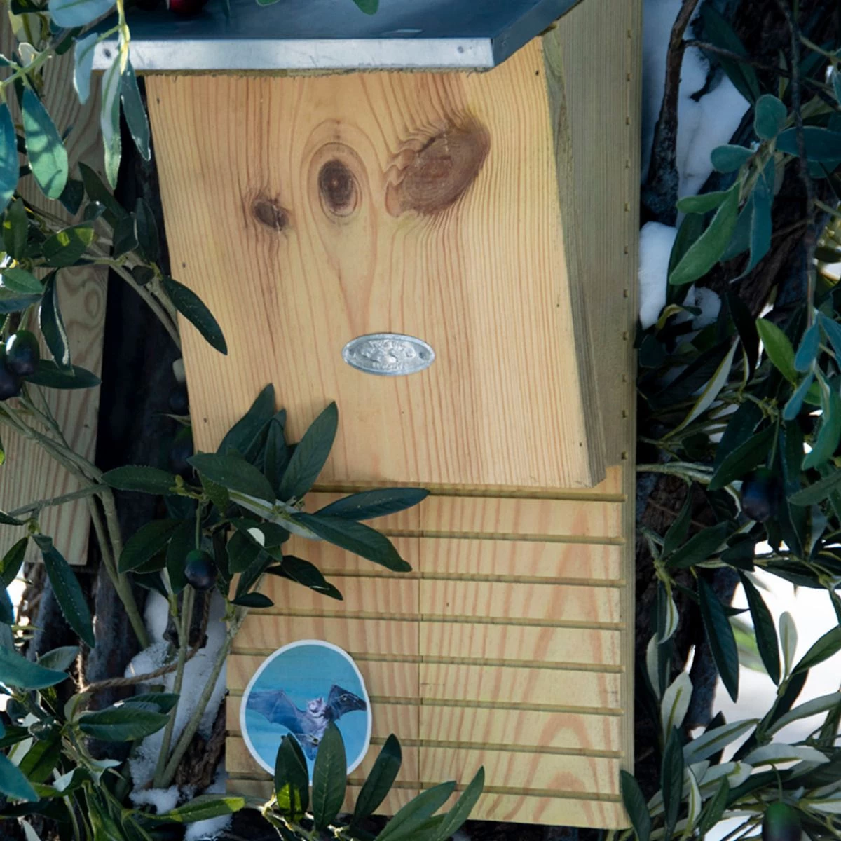 Vleermuiskast 4 Vleermuiskast - Afbeelding 2