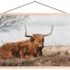 Wanddoek Scottish Highlander -Woonmeubelwinkel scottish highlander canvas