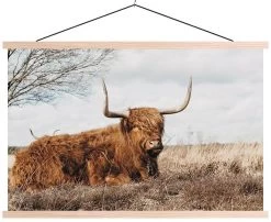 Wanddoek Scottish Highlander